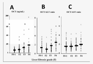 The Relationship Between Liver Fibrosis Grade And Oct - Diagram #3928052