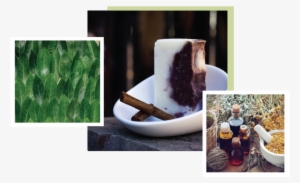 Just A Pretty Face Shop - Just A Pretty Face Skin Care & Wellness Studio #3929385