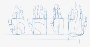 At This Point, Depending On Which Side Of The Hand - Sketch #3930032