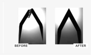 Diamond Knife Service - Sign #3930443