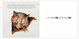 3 - Graphic Design #3930705