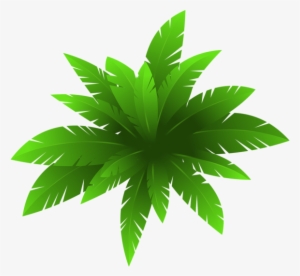 Green Plants Png - Plants Clipart Png #3930790