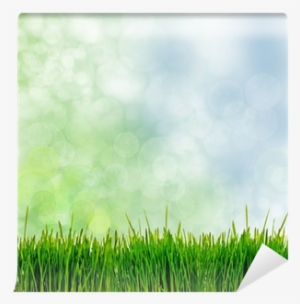 Thune/walker: Die Verändernde Kraft Des Evangeliums #3930898