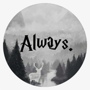 Harry Potter Popsocket Designs #3931136