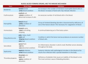 Brush Up On Medical Terminology - Blood Forming Organs #3931289