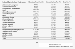 Frequency Of Isolated Bacteria From Cockroaches - Number #3931508