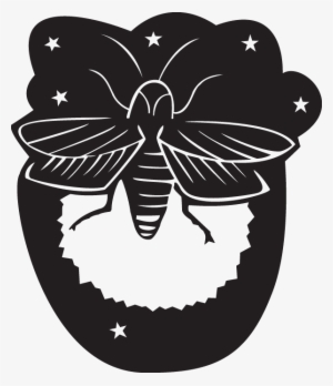Firefly Clip Art #3931514