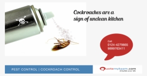 Remedies To Remove Cockroaches From Kitchen - Remedy To Get Rid Of Cockroaches #3931539