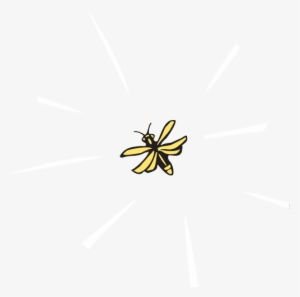 "hotaru" Is The Japanese Word For Firefly, And "hotaru - Flower #3932015