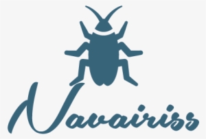 4 Perilous Side-effects Of Living With A Cockroach - Nasty Woman Greeting Cards #3932105