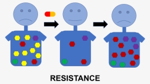 We Use Multidisciplinary Approaches, Combining Crystallography, - Portable Network Graphics #3932106