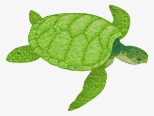 Turtle, Animal, Sea Animal, Tortoise - Sea Life Clipart #3932225