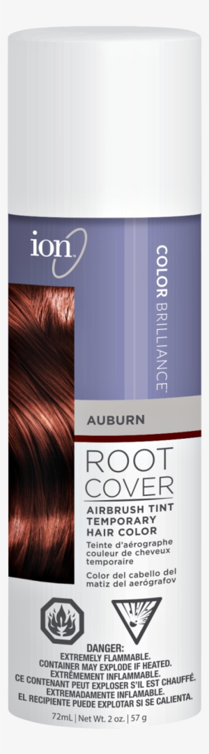 Black Root Cover Airbrush Tint 2 Oz. Ion Home. Professional #3932282