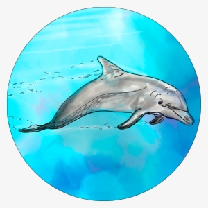Common Bottlenose Dolphin #3932402