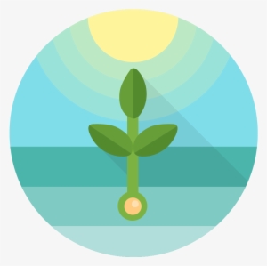 Zoom Out Map Implementation Process - Implementation #3932606