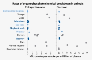 A Chart Showing The Rate Of Organophosphate Chemical - Organophosphate Poisoning #3933087