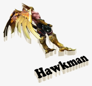 Dc Comics Variant Play Arts Kai: Hawkman #3933447