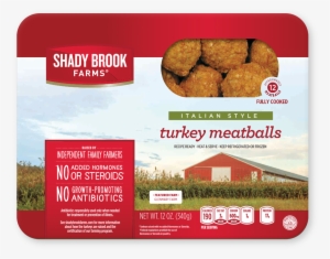 Shady Brook Farms Turkey Meatballs, Italian Style, #3935380