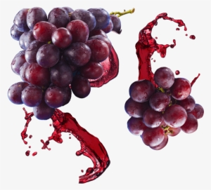 Grape #3936254