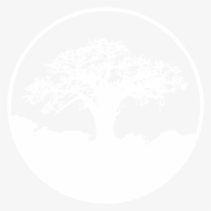 Baobab Media Ltd - Black And White Baobab Tree Png #3936860