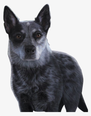 Whisper - Main - Survivors: The Gathering Darkness #2: Dead Of Night #3937360