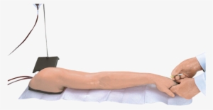 The Bestselling Advanced Venipuncture And Injection - Im Injection Fake Arm #3938608