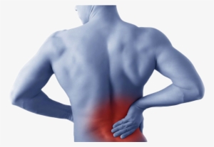 About Small - Back Pain Revealed: Causes, Preventions And Treatments #3938719