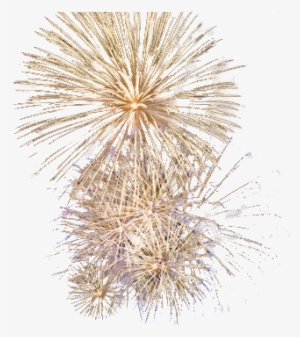 Feux D Artifice Or #3938807