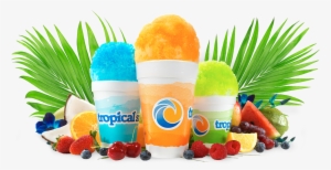 Tropical Sno #3938839