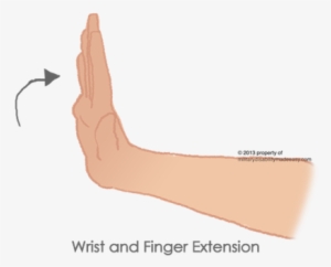 Picture1 - Wrist #3938889