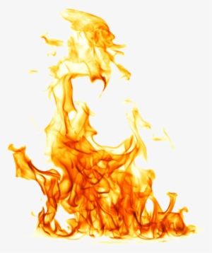 Skull Shot Glasses Set Of 4 #3940862