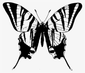 Big Image - Great Big Canvas Vintage Dictionary Art Butterfly Ii #3941013 Big Image - Great Big Canvas Vintage Dictionary Art Butterfly Ii #3941013