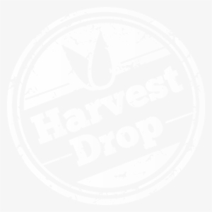 Seasonal - Photograph #3941144