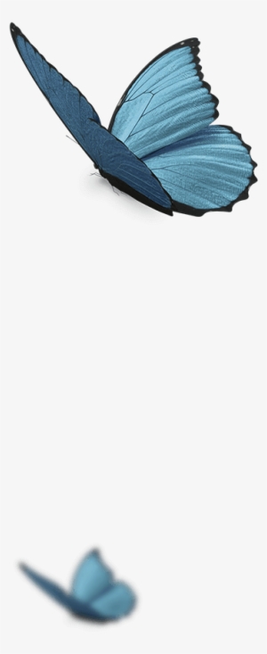 Page Decoration Page Decoration - Decorative Arts #3941297