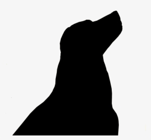 Silhouette Of A Black Lab #3941476