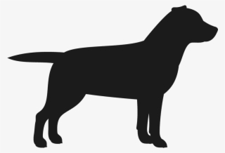 Labrador Retriever Stamp Dog, Cat Amp Fur Baby Stamps #3941524