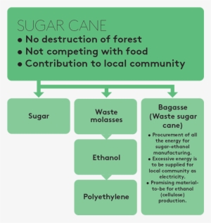 Sugarcane-flow2 - Portable Network Graphics #3941800