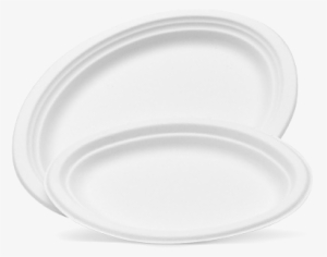 White Sugarcane Oval Plates/platters - Plate #3941862