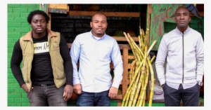 Sugarcane Island Founders - Agave #3942126