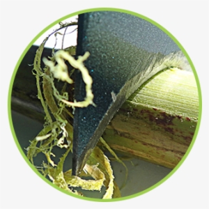 Perfect Peel Round - Sugarcane Peeler Machine Price In India #3942175