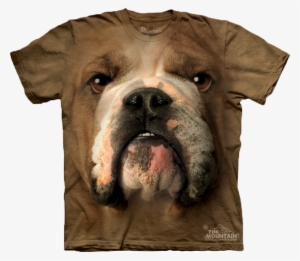 Bulldog Face Available Now At Novelty Everywear - Bulldog Face T Shirt #3942927