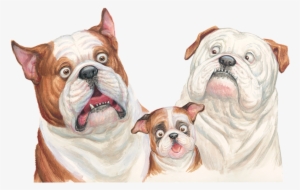 20 - Portable Network Graphics #3943015