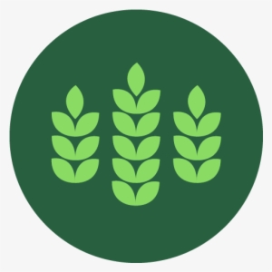 Breathe With Ease - Lavender Oil #3943494