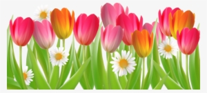 Visit - Daisy #3945066