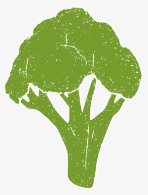 Brocolli - Broccoli #3945617