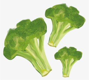 Brocolli - Broccoli #3945797