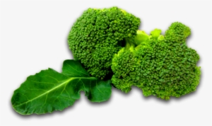 Brocolli - Png Vegetables #3945803