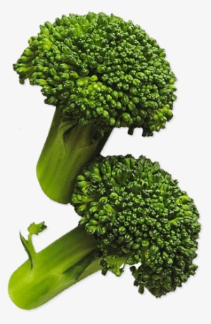 Previous Next - Broccoli #3945864