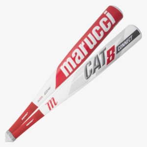Marucci 2019 Cat Connect Bbcor Bat - Marucci Cat 8 Bbcor #3947936
