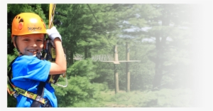 Host A Dragonfly Party For Your Child - Grove #3948945